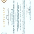 Powiększ obraz: certificate 34