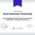Powiększ obraz: certificate 4