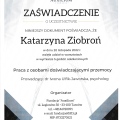 Powiększ obraz: certificate 9