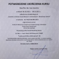 Powiększ obraz: certificate 2