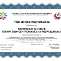 Powiększ obraz: certificate 4