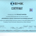 Powiększ obraz: certificate 15
