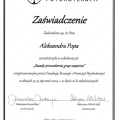 Powiększ obraz: certificate 4