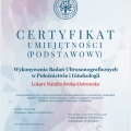 Powiększ obraz: certificate 3