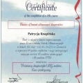 Powiększ obraz: certificate 1