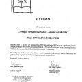 Powiększ obraz: certificate 2