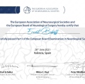 Powiększ obraz: certificate 4