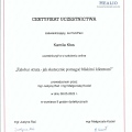 Powiększ obraz: certificate 2