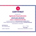 Powiększ obraz: certificate 1