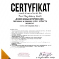 Powiększ obraz: certificate 1