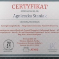 Powiększ obraz: certificate 2