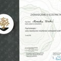 Powiększ obraz: certificate 3