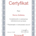 Powiększ obraz: certificate 15