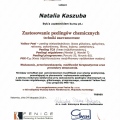 Powiększ obraz: certificate 43
