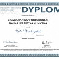 Powiększ obraz: certificate 11