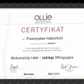 Powiększ obraz: certificate 4