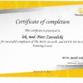 Powiększ obraz: certificate 2