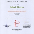 Powiększ obraz: certificate 20