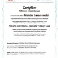 Powiększ obraz: certificate 19