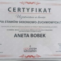 Powiększ obraz: certificate 4