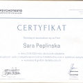 Powiększ obraz: certificate 6