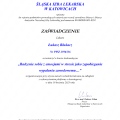 Powiększ obraz: certificate 337