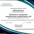 Powiększ obraz: certificate 4