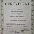 Powiększ obraz: certificate 5
