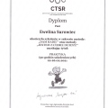 Powiększ obraz: certificate 6