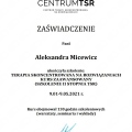 Powiększ obraz: certificate 2