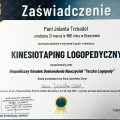 Powiększ obraz: certificate 6