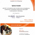 Powiększ obraz: certificate 5