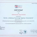 Powiększ obraz: certificate 2