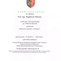 Powiększ obraz: certificate 2