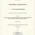 Powiększ obraz: certificate 41