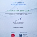 Powiększ obraz: certificate 6