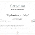 Powiększ obraz: certificate 4