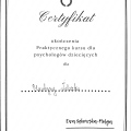 Powiększ obraz: certificate 10