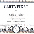 Powiększ obraz: certificate 4