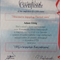 Powiększ obraz: certificate 13
