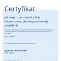 Powiększ obraz: certificate 4