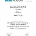 Powiększ obraz: certificate 22