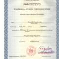 Powiększ obraz: certificate 4