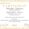 Powiększ obraz: certificate 9