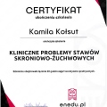 Powiększ obraz: certificate 1