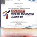 Powiększ obraz: certificate 9