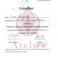 Powiększ obraz: certificate 2