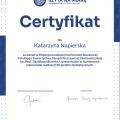 Powiększ obraz: certificate 3