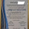 Powiększ obraz: certificate 26