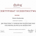 Powiększ obraz: certificate 13
